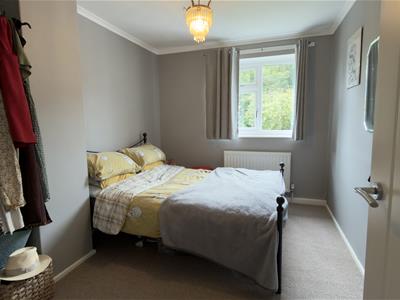 Picture 25